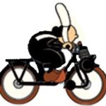 Illustration du profil de Sophie